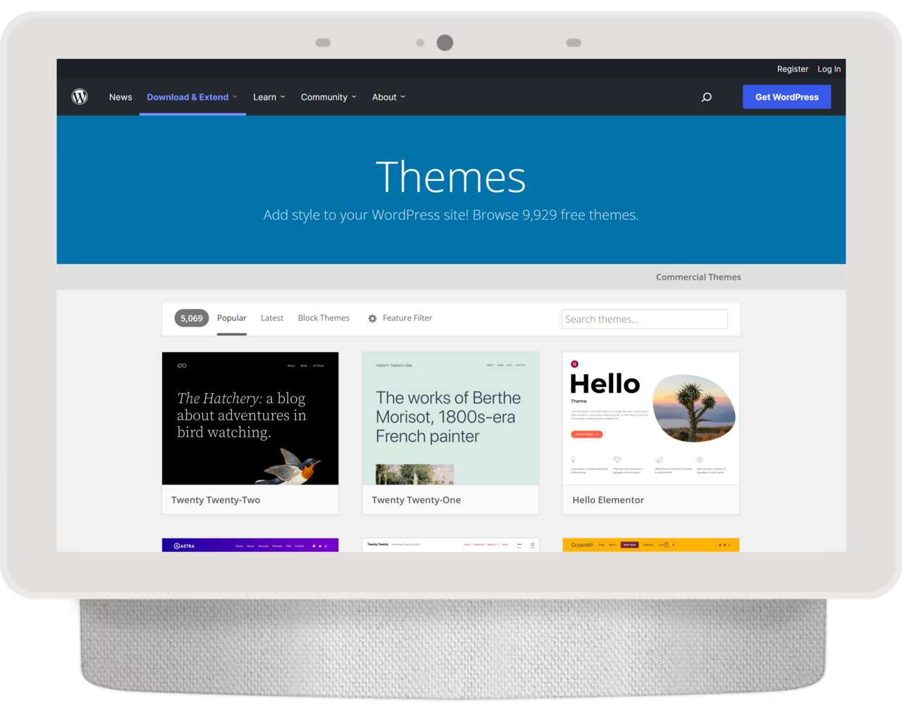 wordpress.org_themes_(Nest Hub Max).png