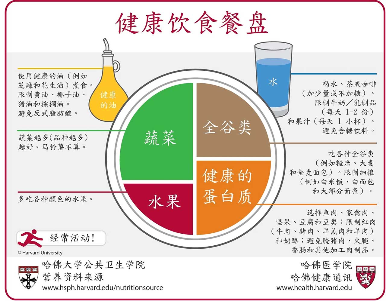 Healthy Eating Plate